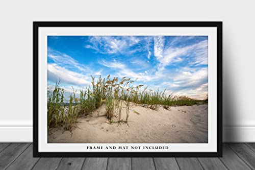 Крайбрежната фотография, Принт (без рамка), Изображението пясъчните дюни и морски овсов по Протежение на плажа в Южна Каролина,