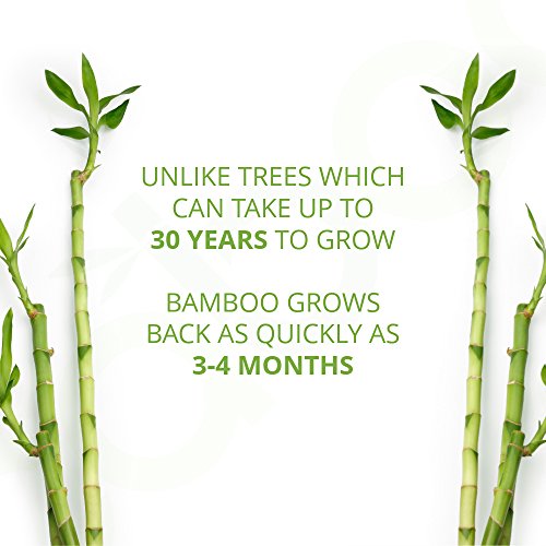 Детски бамбукови салфетки Caboo Tree Free, екологично Чисти, от естествен произход за Чувствителна кожа, Затваряне на Резето, 72 референтна рамка