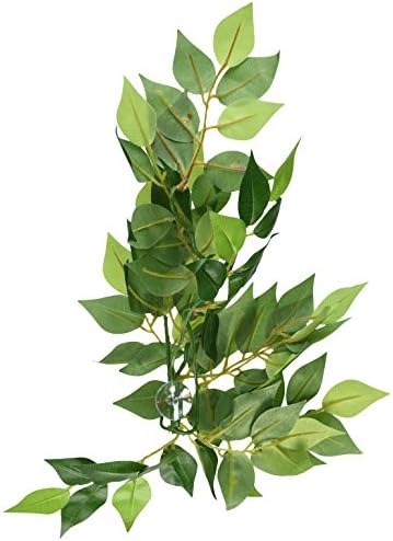Террариумное растение Exo Terra Silk, Малка, Ficus
